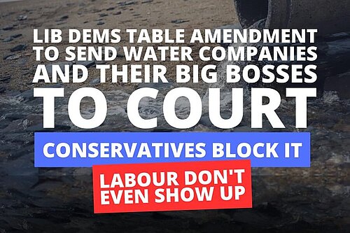 A sewage pipe pouring out on to a beach. Text: "LibDems table amendment to send water companies and their big bosses to court. Conservatives block it. Labour don't even show up."