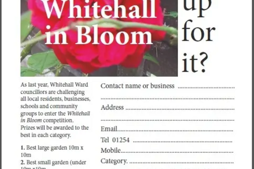 Whitehall in Bloom entry form