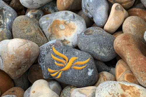 Beach Stones with LibDem Yellow Bird Logo