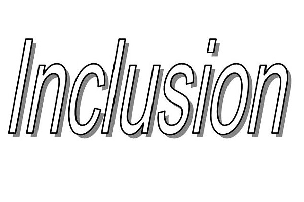 Inclusion