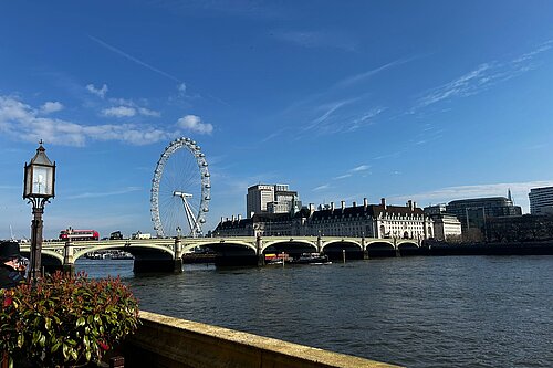 View from the terrace of the Palace of Westminster