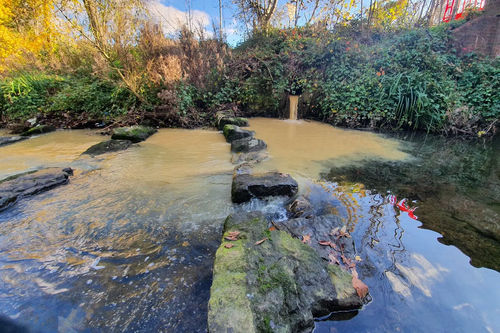 River Sewage 2023