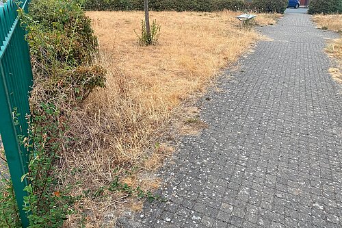 Poppy Avenue
