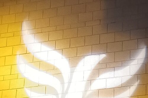 Lib Dem logo bird projected on blockwork