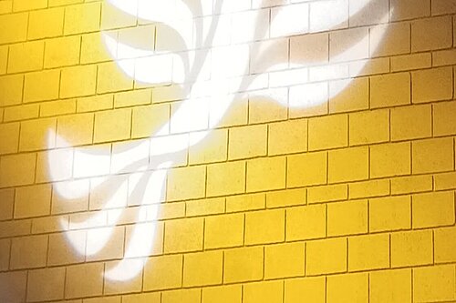 Lib Dem logo bird projected on blockwork