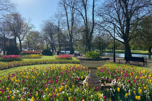 The Embankment in Bloom