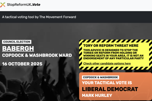 Vote Mark