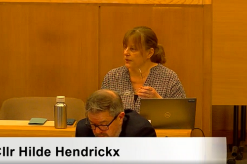 Councillor Hilde Hendrickx
