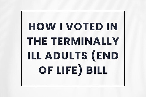 How I Voted