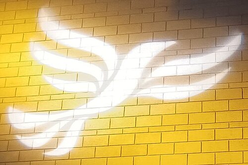 Lib Dem bird on wall