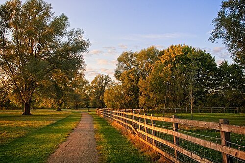 Ouzel Valley Park footpath