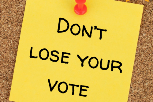 Dont lose your vote sticker