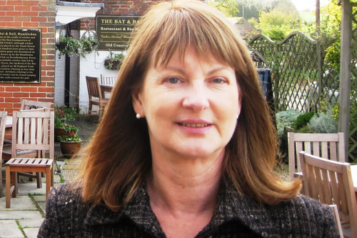 New Chair of South Central Liberal Democrats - Liz Leffman