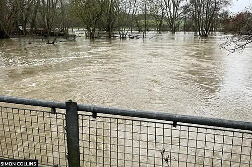 bbc article screenshot