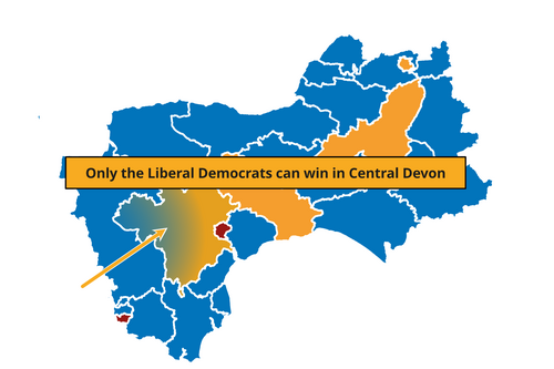 Liberal Democrats in Central Devon
