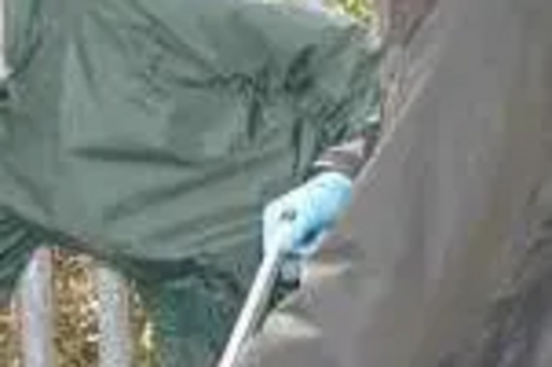 Stephen Robinson holding litter picking stick and bag