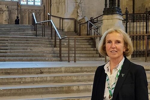 Susan Murray in front of a stone staircase in the houses of parliament.