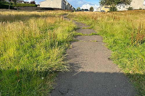 Patches of overgrown grass on either side of a path leading to houses in the distance.