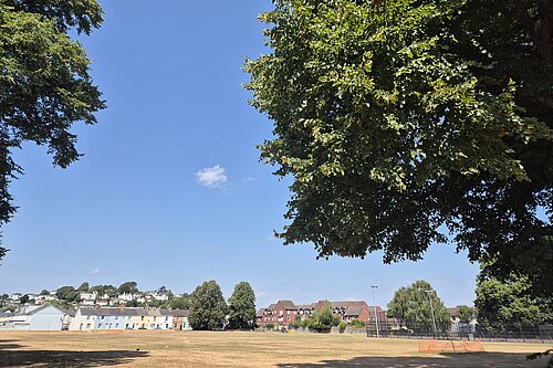 Image of park in a heatwave