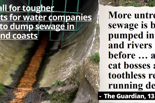 Sewage article