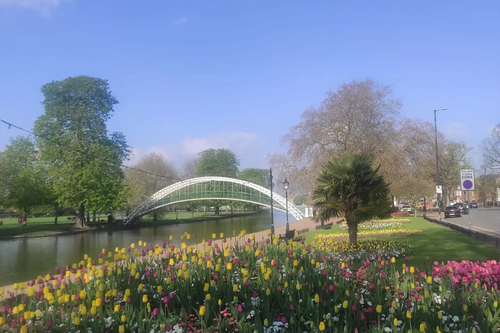 Flowers at the Embankment